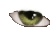 Left Eye Icon